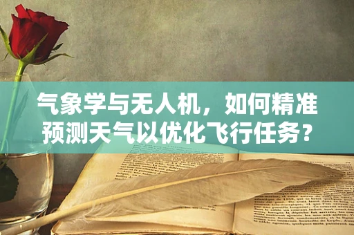 气象学与无人机，如何精准预测天气以优化飞行任务？