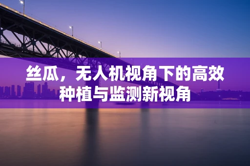 丝瓜，无人机视角下的高效种植与监测新视角