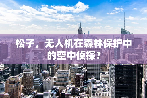松子，无人机在森林保护中的空中侦探？