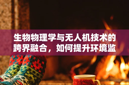 生物物理学与无人机技术的跨界融合，如何提升环境监测的精准度？