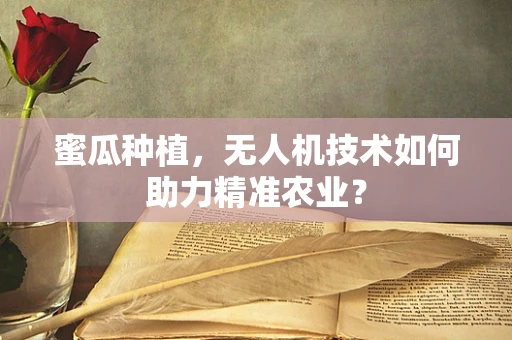 蜜瓜种植，无人机技术如何助力精准农业？