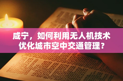 咸宁，如何利用无人机技术优化城市空中交通管理？