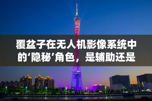 覆盆子在无人机影像系统中的‘隐秘’角色，是辅助还是主角？