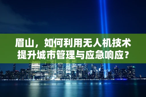 眉山，如何利用无人机技术提升城市管理与应急响应？