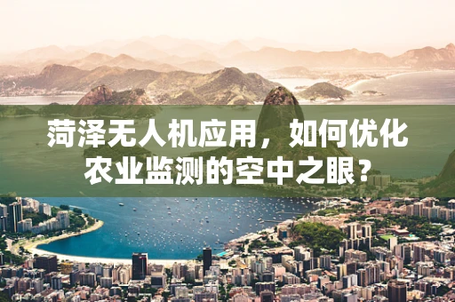 菏泽无人机应用，如何优化农业监测的空中之眼？