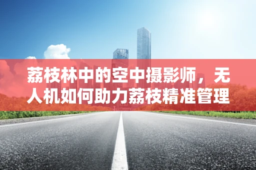 荔枝林中的空中摄影师，无人机如何助力荔枝精准管理？