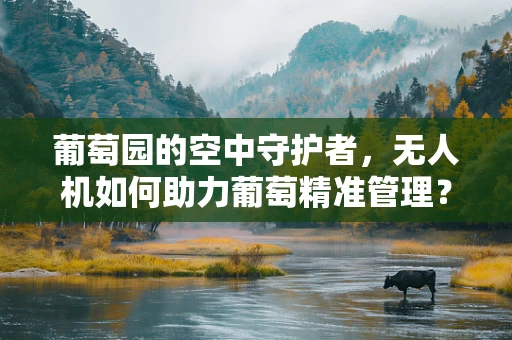 葡萄园的空中守护者，无人机如何助力葡萄精准管理？