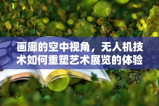 画廊的空中视角，无人机技术如何重塑艺术展览的体验？