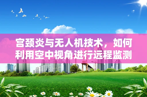 宫颈炎与无人机技术，如何利用空中视角进行远程监测？