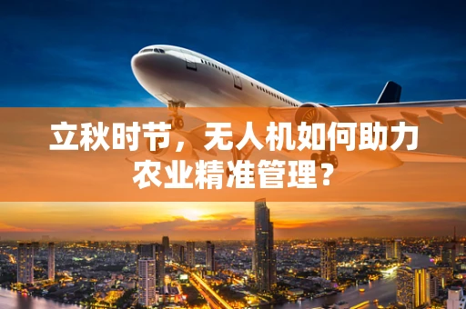 立秋时节，无人机如何助力农业精准管理？