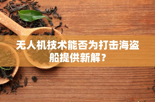 无人机技术能否为打击海盗船提供新解？