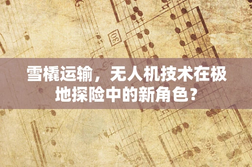 雪橇运输，无人机技术在极地探险中的新角色？