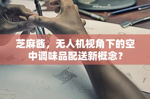芝麻酱，无人机视角下的空中调味品配送新概念？