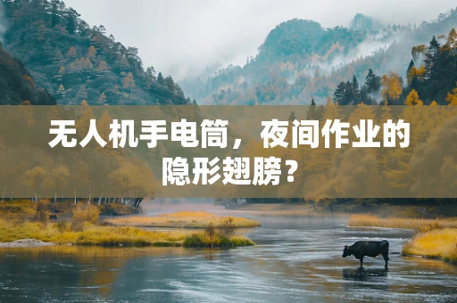 无人机手电筒，夜间作业的隐形翅膀？