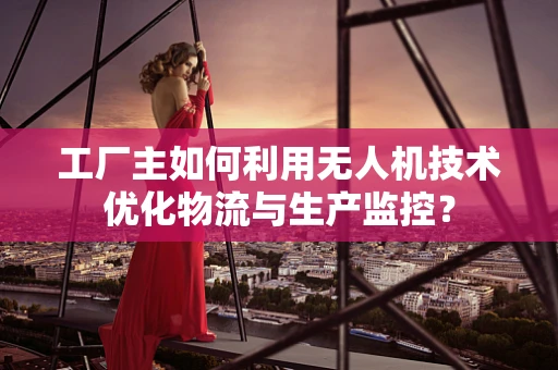 工厂主如何利用无人机技术优化物流与生产监控？