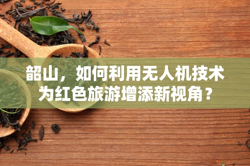 韶山，如何利用无人机技术为红色旅游增添新视角？