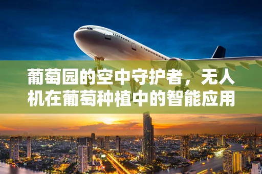 葡萄园的空中守护者，无人机在葡萄种植中的智能应用？