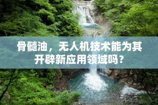 骨髓油，无人机技术能为其开辟新应用领域吗？