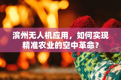 滨州无人机应用，如何实现精准农业的空中革命？
