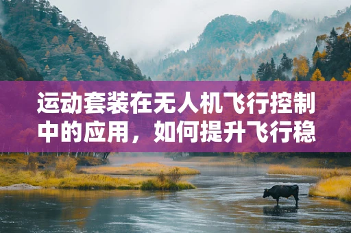 运动套装在无人机飞行控制中的应用，如何提升飞行稳定性和效率？