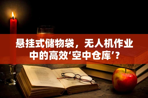 悬挂式储物袋，无人机作业中的高效‘空中仓库’？