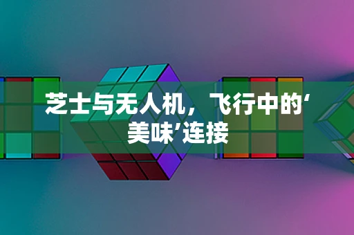 芝士与无人机，飞行中的‘美味’连接