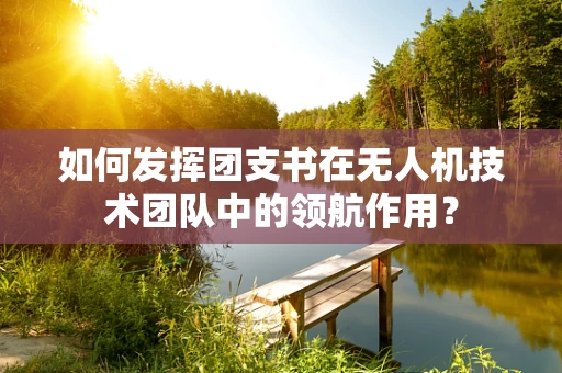 如何发挥团支书在无人机技术团队中的领航作用？
