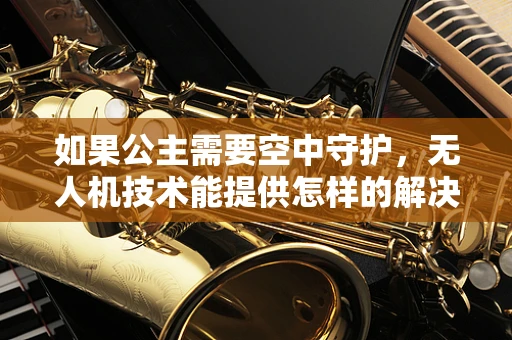 如果公主需要空中守护，无人机技术能提供怎样的解决方案？