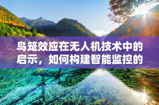 鸟笼效应在无人机技术中的启示，如何构建智能监控的‘空中鸟笼’？