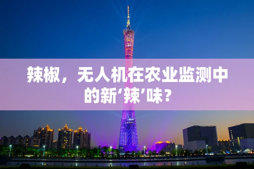 辣椒，无人机在农业监测中的新‘辣’味？