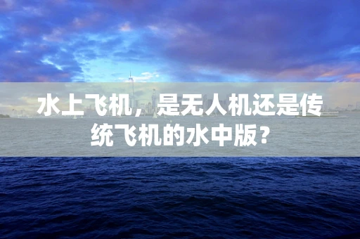 水上飞机，是无人机还是传统飞机的水中版？