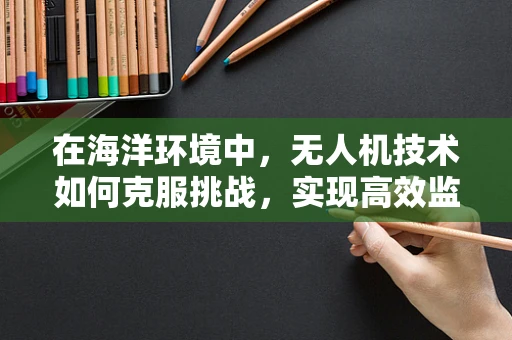 在海洋环境中，无人机技术如何克服挑战，实现高效监测？