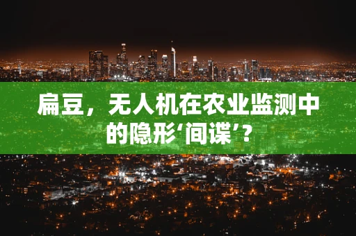 扁豆，无人机在农业监测中的隐形‘间谍’？