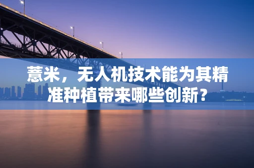 薏米，无人机技术能为其精准种植带来哪些创新？
