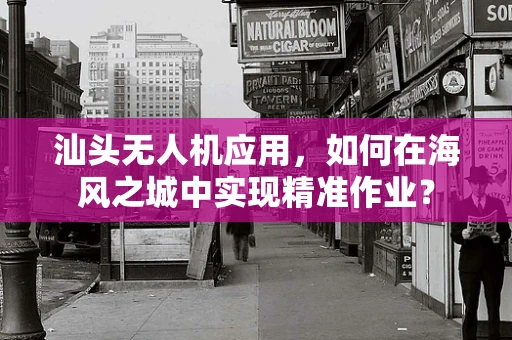 汕头无人机应用，如何在海风之城中实现精准作业？