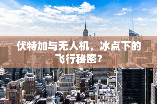 伏特加与无人机，冰点下的飞行秘密？