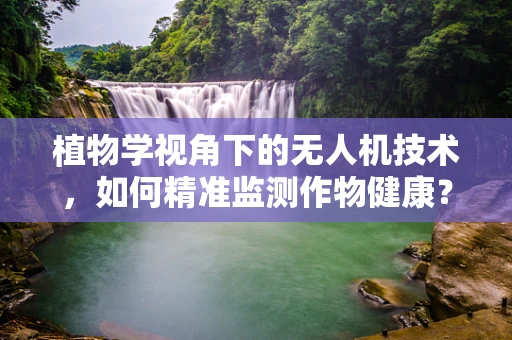 植物学视角下的无人机技术，如何精准监测作物健康？