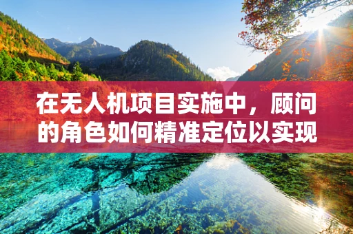在无人机项目实施中，顾问的角色如何精准定位以实现最佳效益？