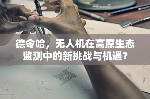 德令哈，无人机在高原生态监测中的新挑战与机遇？