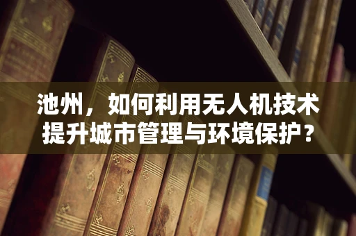 池州，如何利用无人机技术提升城市管理与环境保护？