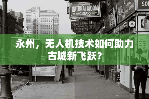 永州，无人机技术如何助力古城新飞跃？