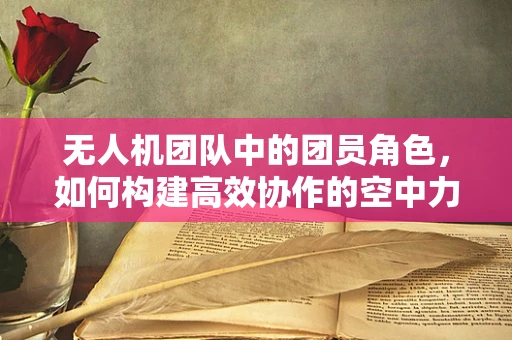 无人机团队中的团员角色，如何构建高效协作的空中力量？