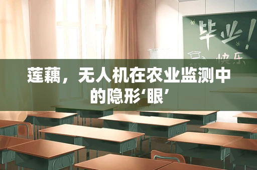 莲藕，无人机在农业监测中的隐形‘眼’