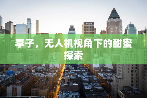 李子，无人机视角下的甜蜜探索
