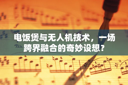 电饭煲与无人机技术，一场跨界融合的奇妙设想？