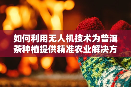如何利用无人机技术为普洱茶种植提供精准农业解决方案？