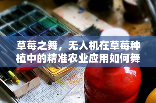 草莓之舞，无人机在草莓种植中的精准农业应用如何舞动未来？