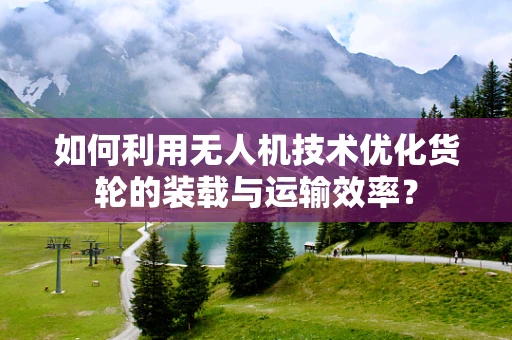 如何利用无人机技术优化货轮的装载与运输效率？