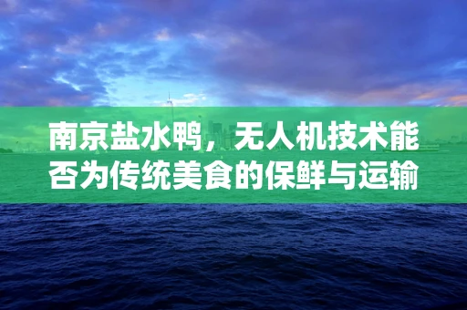 南京盐水鸭，无人机技术能否为传统美食的保鲜与运输带来革新？