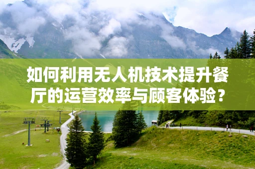 如何利用无人机技术提升餐厅的运营效率与顾客体验？
